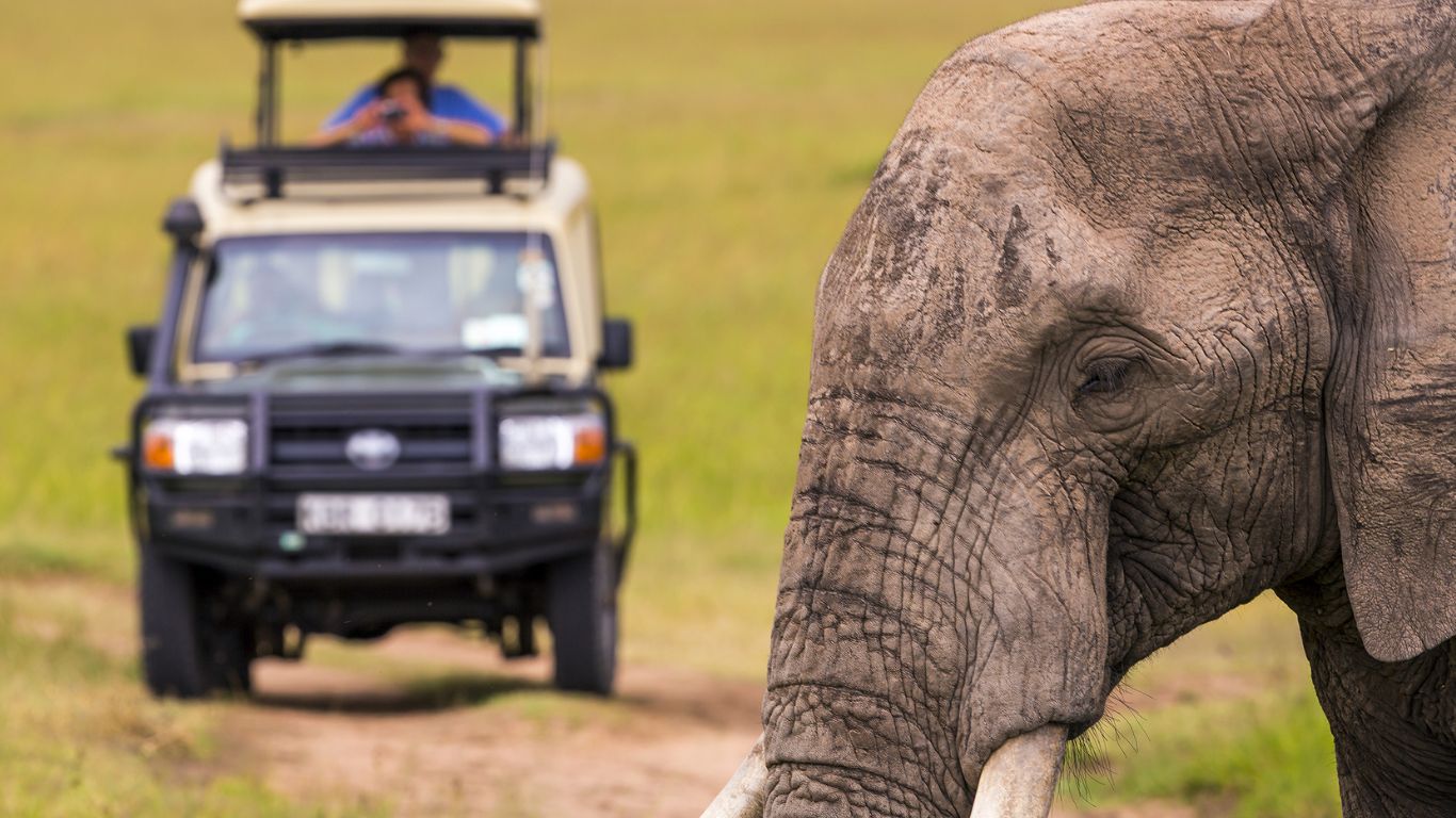 Serengeti National Park, Tanzania 