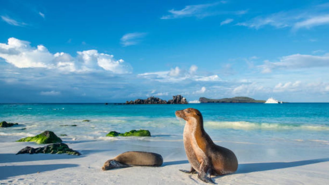 The Galápagos Islands, Ecuador
