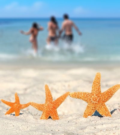 Beach Destinations