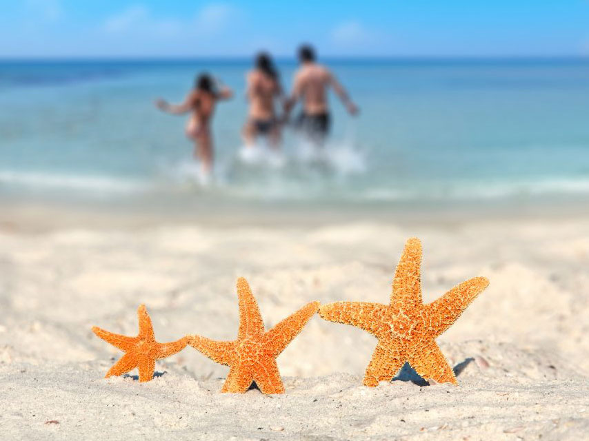 Beach Destinations