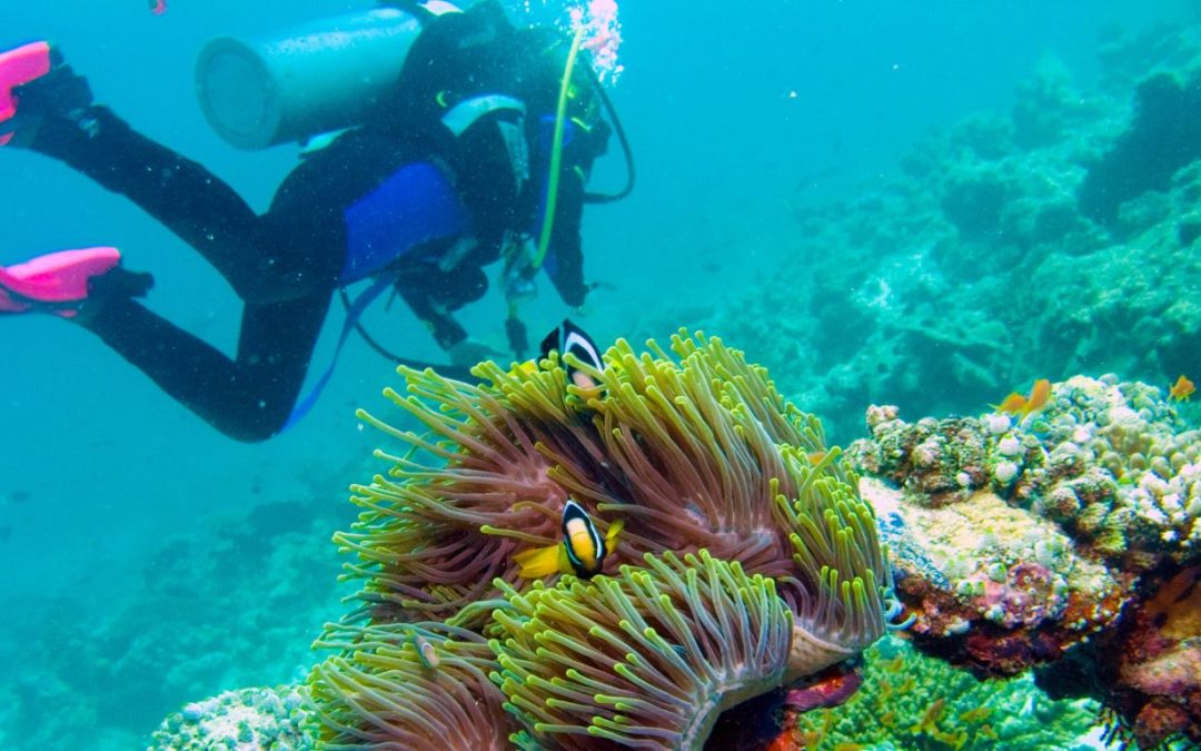 Top 10 Once-in-a-Lifetime Destinations to Add to Your Bucket List