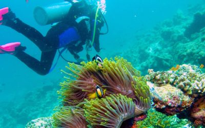 Top 10 Once-in-a-Lifetime Destinations to Add to Your Bucket List