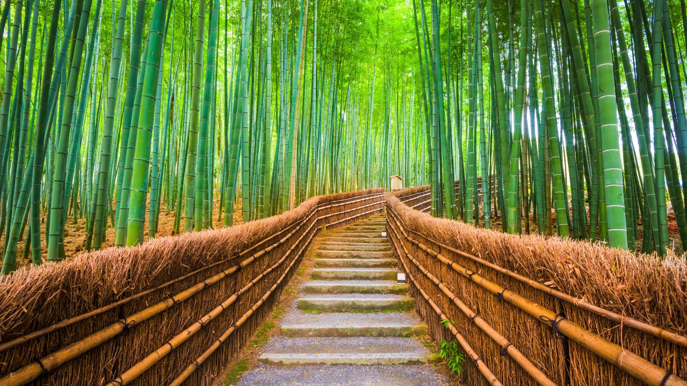 Kyoto, Japan